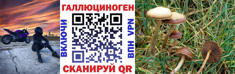 Псилоцибиновые грибы прущие грибы Ленск